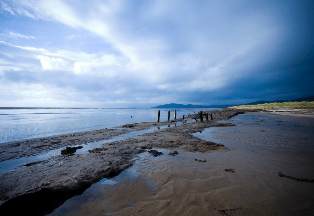 Solway Firth Experience on the Solway Coast, Scotland | North Lakes